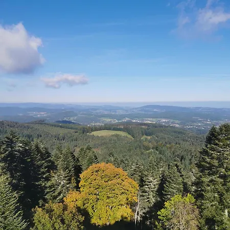 Le Moulin De La Fortie, Apartment *