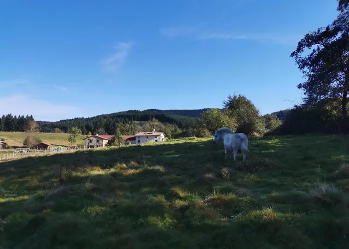 Le Moulin De La Fortie, Apartment *