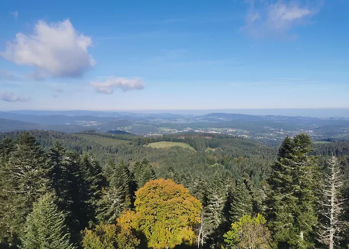 Le Moulin De La Fortie, Apartment *
